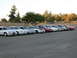 1995 Ford Taurus - Multiple Ford Taurus sedans are lined up in a parking lot, with the front of the vehicles facing towards the viewer.