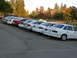 1995 Ford Taurus - A row of sedans are parked on a street with trees in the background.