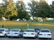 1995 Ford Taurus - Several cars are parked in a lot with trees and grass visible.