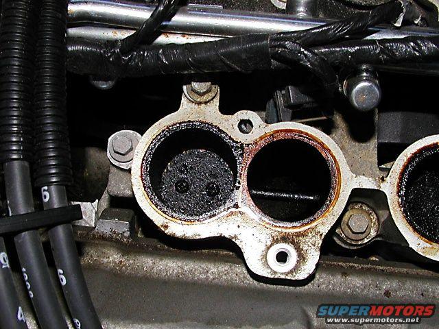 1998 Ford Taurus photo