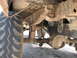 1979 Ford Bronco - check out lift