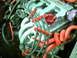 1996 Ford Probe - engine side