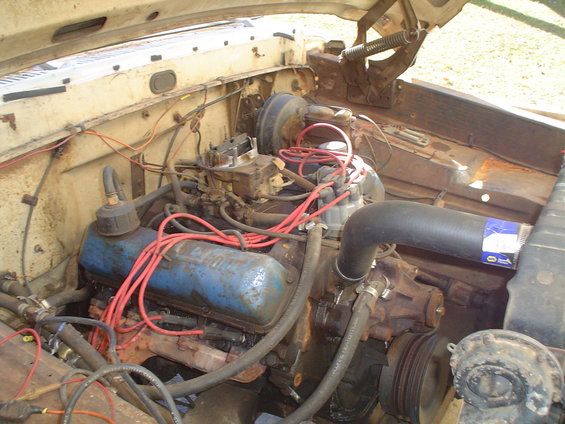 1967 Ford F-250 engine bay with blue valve covers and red spark plug wires