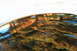 2006 Mazda Miata - Autumn foliage reflects on a highly polished, curved object.