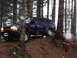 1995 Ford Bronco - A blue SUV navigates a wooded area with a dirt path.