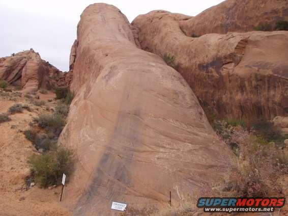 lionsback.jpg lions back was closed