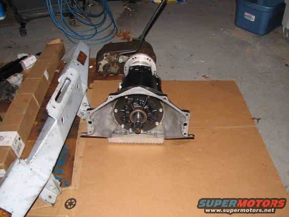 picture-248.jpg 
