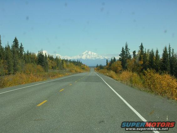 road leading to mountains with trees on the sides