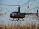 1997 Mercury Grand Marquis - A Robinson R44 helicopter with registration N31138 flies low over a dry cornfield.