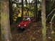 1990 Ford Bronco - Jeep Wrangler tackling an off-road trail in a wooded area.