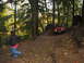 1990 Ford Bronco - A person uses a rope to help pull a red Jeep Wrangler up a steep, wooded dirt trail.