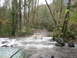 1990 Ford Bronco - A Toyota pickup truck navigates a shallow, rocky river in a wooded area.