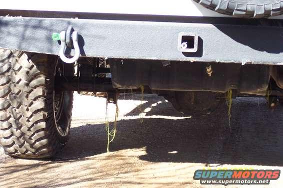 100_0226.jpg swamp thing