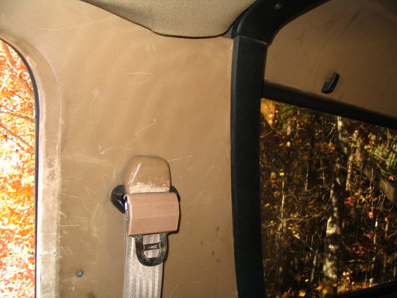 Tan interior panel with a beige seatbelt mechanism and a window showing autumn trees