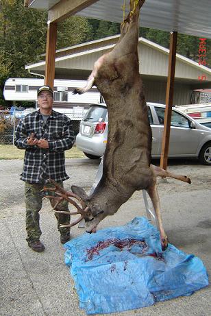 Weight was 177lbs gutted and no head.