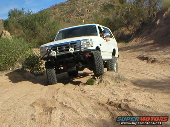 p1010348.jpg rock? what rock?