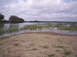 2005 BMW 3 Series - A wide view of a marshy area with tall reeds growing in the water under a cloudy sky.