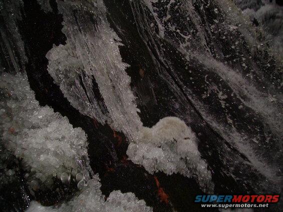 pict1702.jpg 