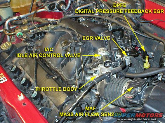 splug1a.jpg General Component Locations