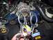 gasket3.jpg