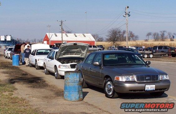 2000 Ford Crown Victoria in foreground, other Crown Victorias lined up behind it, some with hoods open