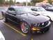 2002 Ford Mustang - Black Ford Mustang GT parked next to a white car with racing stripes.