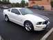 2002 Ford Mustang - White Ford Mustang GT with blue racing stripes parked in a lot.