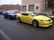 2002 Ford Mustang - Several Ford Mustangs are lined up on a street in front of a building with large garage doors.