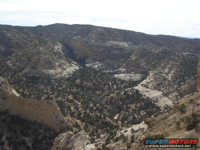Mountainous landscape with scattered trees and a dry riverbed