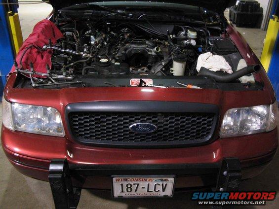 Red 2001 Ford Crown Victoria with hood open, showing engine bay and front grille