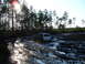 1989 Ford Bronco - A white SUV navigates a muddy track with trees lining the path and the sun shining brightly.