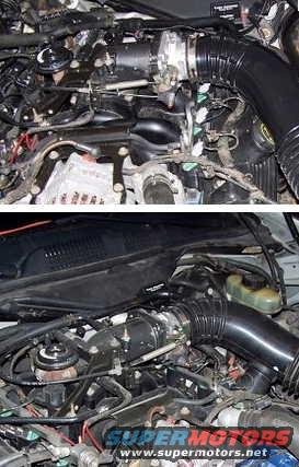 Engine bay of a 2000 Ford Crown Victoria with visible intake hoses and engine components