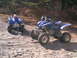 2003 Yamaha RAPTOR 660 - Two Yamaha ATVs are parked on a sandy surface with trees in the background.