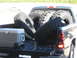 1986 Ford Bronco - the new meats along with a cooler full of beer