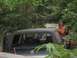 1989 GMC Jimmy - A dark-colored SUV is partially obscured by dense foliage, suggesting it has been stationary for some time.