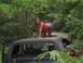 1989 GMC Jimmy - Woman poses on the roof of an old, overgrown vehicle in a natural setting.