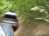 SUV parked on a dirt path surrounded by trees