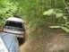 1989 GMC Jimmy - An SUV is parked on a dirt road, partially obscured by foliage.