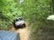 1989 GMC Jimmy - An SUV navigates a narrow dirt path surrounded by lush green trees.