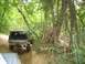 1989 GMC Jimmy - SUV navigates a wooded trail on a sunny day.