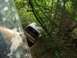 1989 GMC Jimmy - A camera is mounted to a tree trunk, surrounded by foliage and branches.