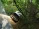 1989 GMC Jimmy - A white SUV navigates a challenging off-road trail through a dense forest.