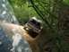 1989 GMC Jimmy - An off-road vehicle tackles a challenging muddy incline surrounded by dense forest foliage.