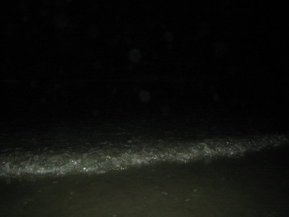 img_9847.jpg 