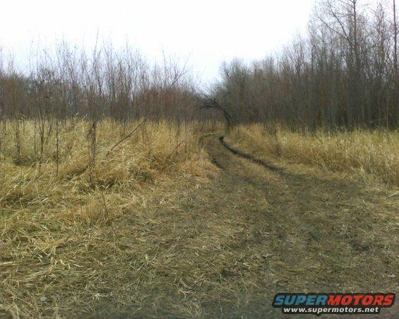 trenton-bottomserickson-island.jpg 