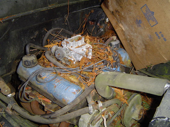 dsc02817.jpg Rusted solid. What a waste of an afternoon