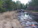 1995 Dodge 1500 - A Jeep is stuck in a body of water surrounded by dry grass and trees.