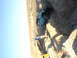 1996 Ford Bronco - A teal Jeep Wrangler is stuck in a deep ditch, with a person observing the situation.