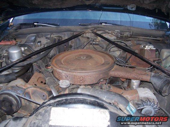 Engine bay with a rusty air cleaner and various hoses and belts