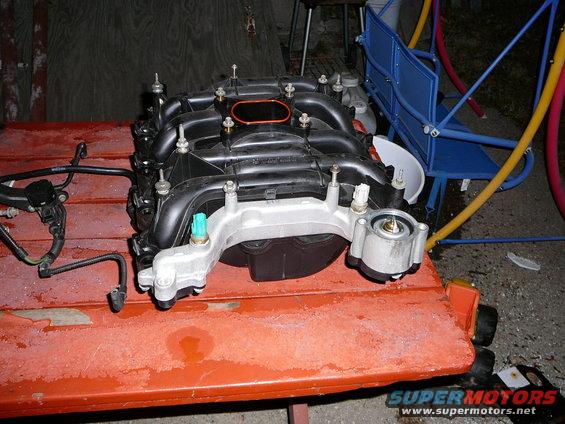 npi-intake-removed-2.jpg 